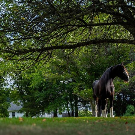 Apple Pony Inn Boalsburg Ngoại thất bức ảnh