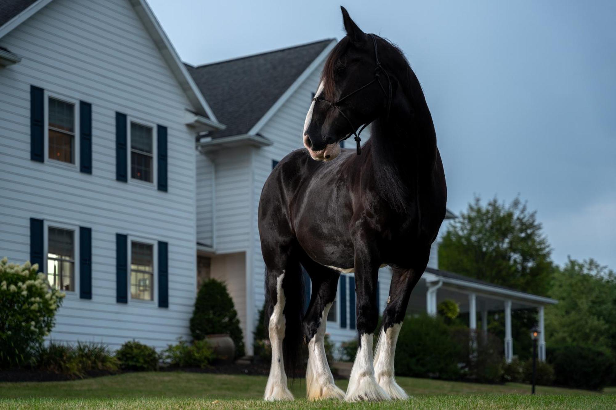 Apple Pony Inn Boalsburg Ngoại thất bức ảnh